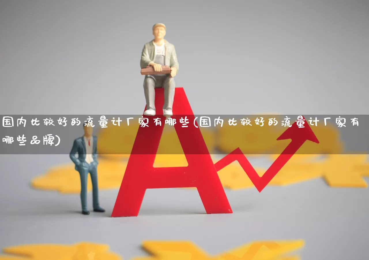国内比较好的流量计厂家有哪些(国内比较好的流量计厂家有哪些品牌)_https://www.nalian8.com_创业板_第1张