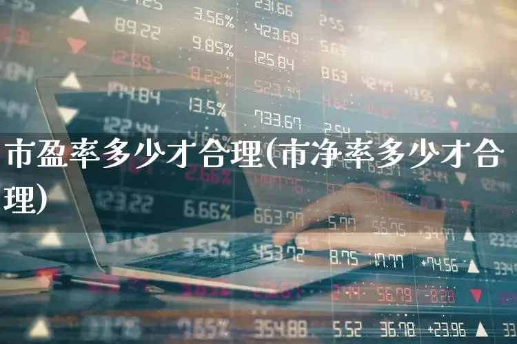 市盈率多少才合理(市净率多少才合理)_https://www.nalian8.com_上交所_第1张