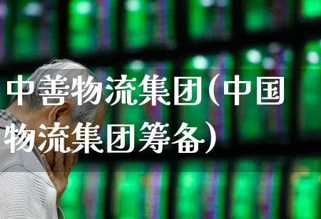 中善物流集团(中国物流集团筹备)_https://www.nalian8.com_科创板_第1张