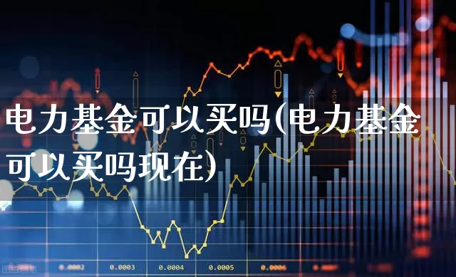 电力基金可以买吗(电力基金可以买吗现在)_https://www.nalian8.com_北交所_第1张