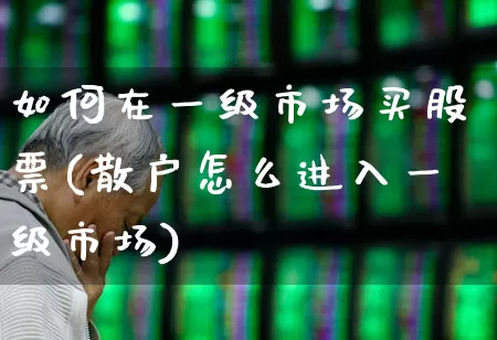 如何在一级市场买股票(散户怎么进入一级市场)_https://www.nalian8.com_北交所_第1张