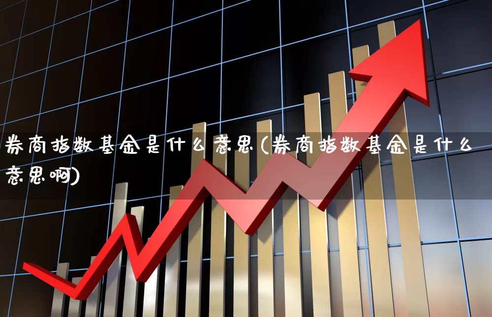 券商指数基金是什么意思(券商指数基金是什么意思啊)_https://www.nalian8.com_深交所_第1张