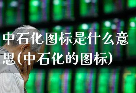 中石化图标是什么意思(中石化的图标)_https://www.nalian8.com_深交所_第1张