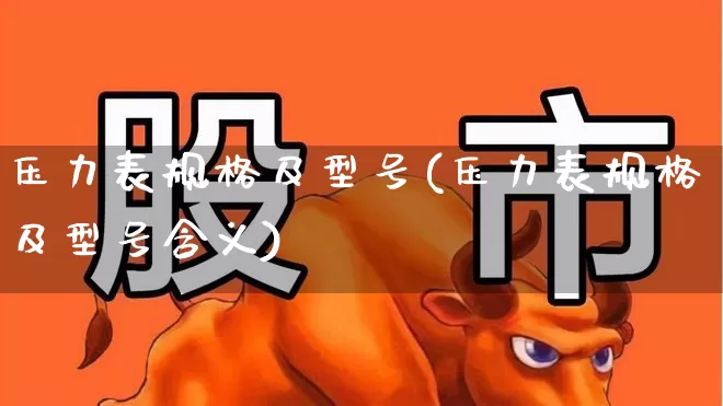 压力表规格及型号(压力表规格及型号含义)_https://www.nalian8.com_深交所_第1张