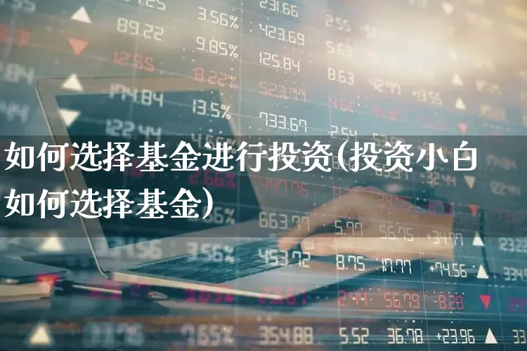 如何选择基金进行投资(投资小白如何选择基金)_https://www.nalian8.com_创业板_第1张