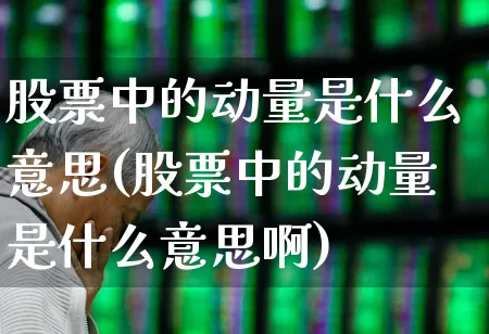 股票中的动量是什么意思(股票中的动量是什么意思啊)_https://www.nalian8.com_深交所_第1张