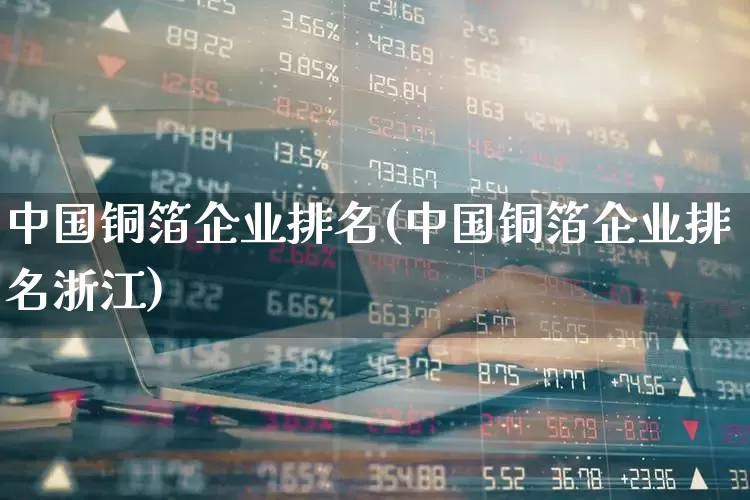 中国铜箔企业排名(中国铜箔企业排名浙江)_https://www.nalian8.com_创业板_第1张