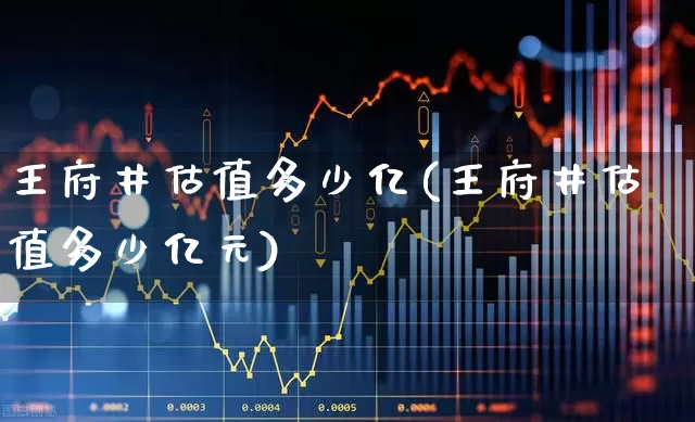 王府井估值多少亿(王府井估值多少亿元)_https://www.nalian8.com_北交所_第1张
