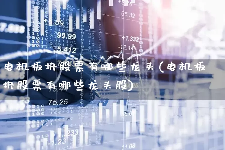 电机板块股票有哪些龙头(电机板块股票有哪些龙头股)_https://www.nalian8.com_科创板_第1张