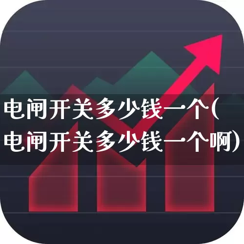 电闸开关多少钱一个(电闸开关多少钱一个啊)_https://www.nalian8.com_北交所_第1张