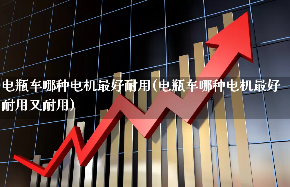 电瓶车哪种电机最好耐用(电瓶车哪种电机最好耐用又耐用)_https://www.nalian8.com_北交所_第1张