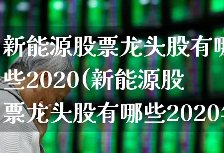 新能源股票龙头股有哪些2020(新能源股票龙头股有哪些2020年)_https://www.nalian8.com_上交所_第1张