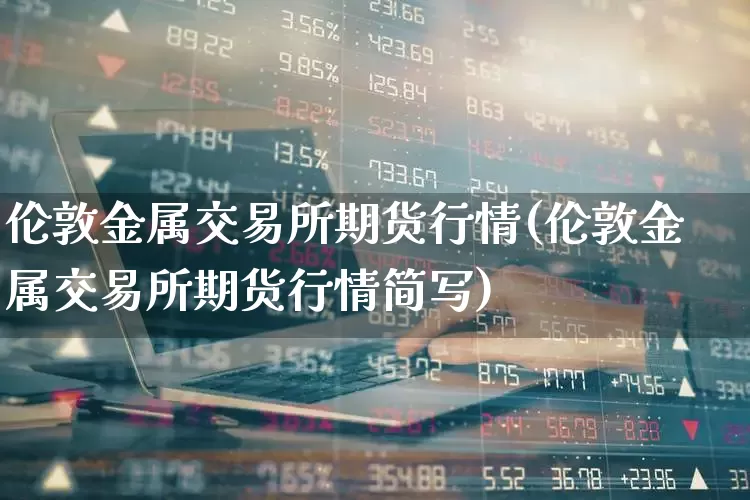 伦敦金属交易所期货行情(伦敦金属交易所期货行情简写)_https://www.nalian8.com_上交所_第1张