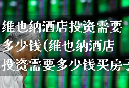 维也纳酒店投资需要多少钱(维也纳酒店投资需要多少钱买房子)_https://www.nalian8.com_科创板_第1张