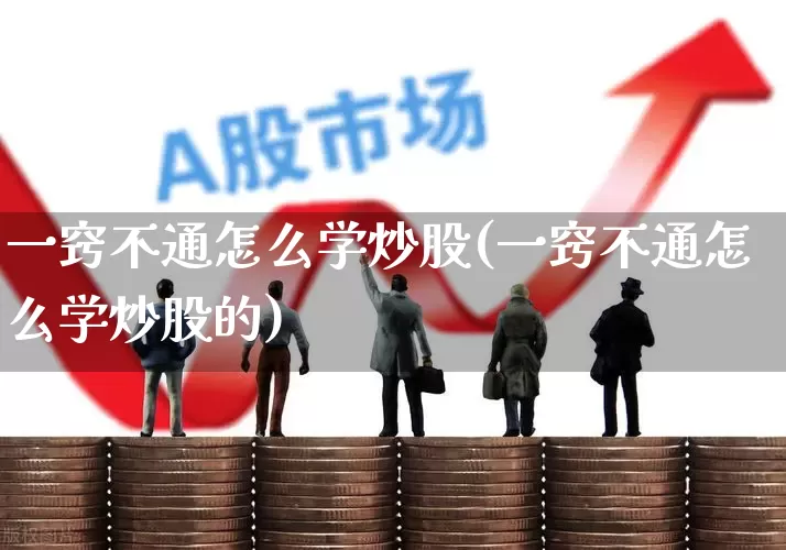 一窍不通怎么学炒股(一窍不通怎么学炒股的)_https://www.nalian8.com_上交所_第1张