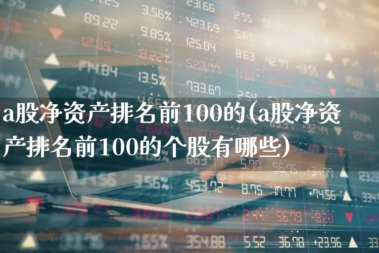 a股净资产排名前100的(a股净资产排名前100的个股有哪些)_https://www.nalian8.com_北交所_第1张