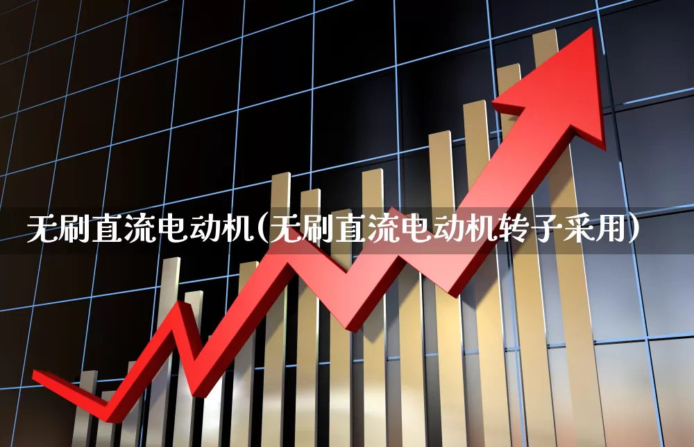 无刷直流电动机(无刷直流电动机转子采用)_https://www.nalian8.com_深交所_第1张