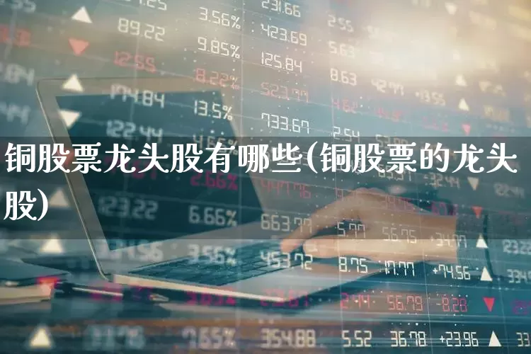 铜股票龙头股有哪些(铜股票的龙头股)_https://www.nalian8.com_上交所_第1张