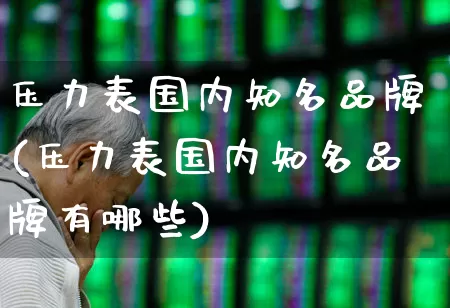 压力表国内知名品牌(压力表国内知名品牌有哪些)_https://www.nalian8.com_上交所_第1张