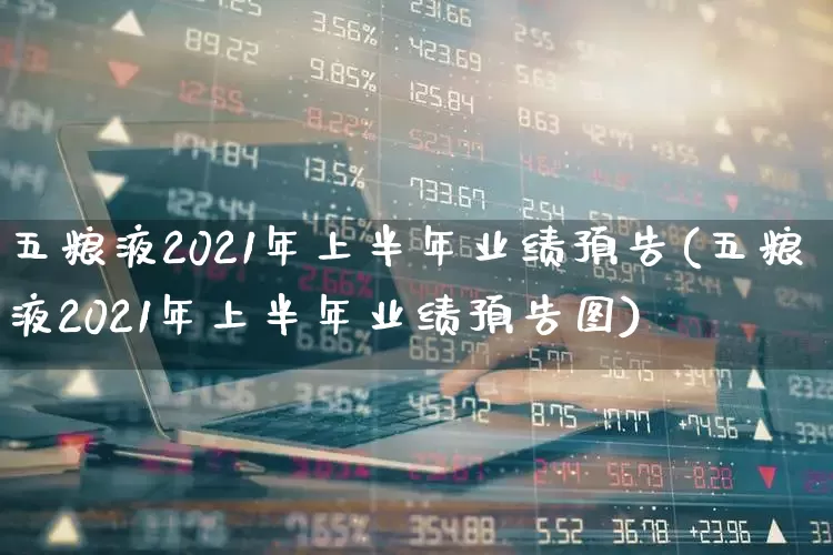 五粮液2021年上半年业绩预告(五粮液2021年上半年业绩预告图)_https://www.nalian8.com_科创板_第1张
