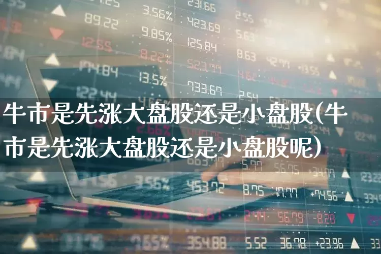 牛市是先涨大盘股还是小盘股(牛市是先涨大盘股还是小盘股呢)_https://www.nalian8.com_创业板_第1张