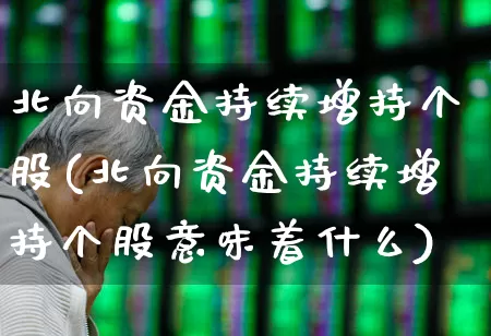 北向资金持续增持个股(北向资金持续增持个股意味着什么)_https://www.nalian8.com_深交所_第1张